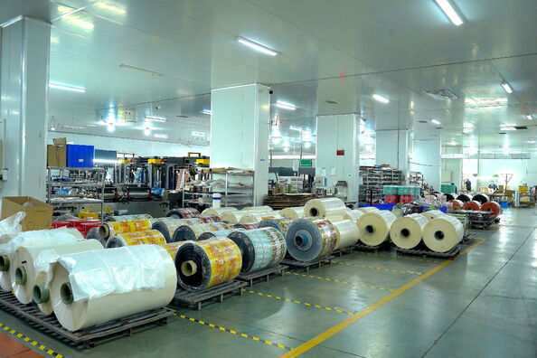 GUANGDONG HUAXING PACKAGING CO., LTD.